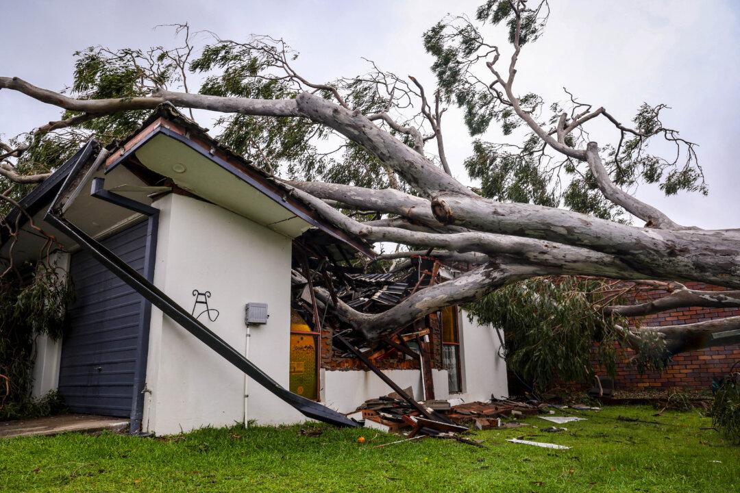 Insurance Council Calls for Quick Claim Lodgment for Ex-Cyclone Alfred Damages