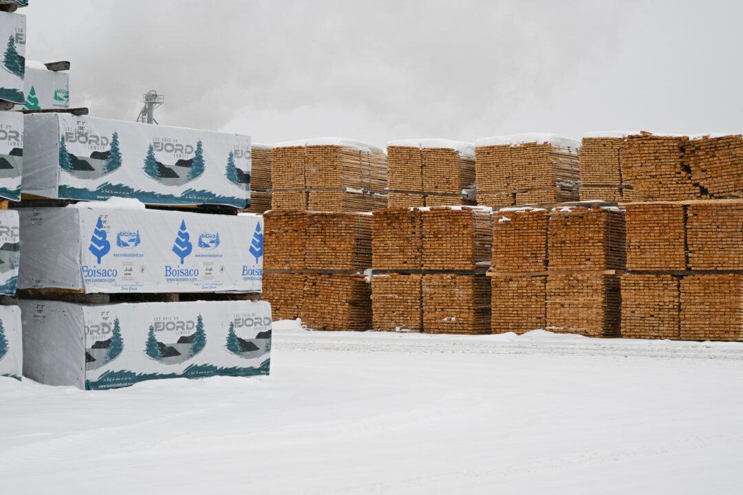 Trump and Commerce Secretary Indicate Dairy and Lumber Tariffs May Wait Until April