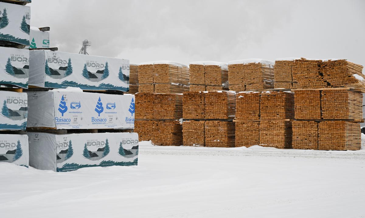 Trump and Commerce Secretary Indicate Dairy and Lumber Tariffs May Wait Until April