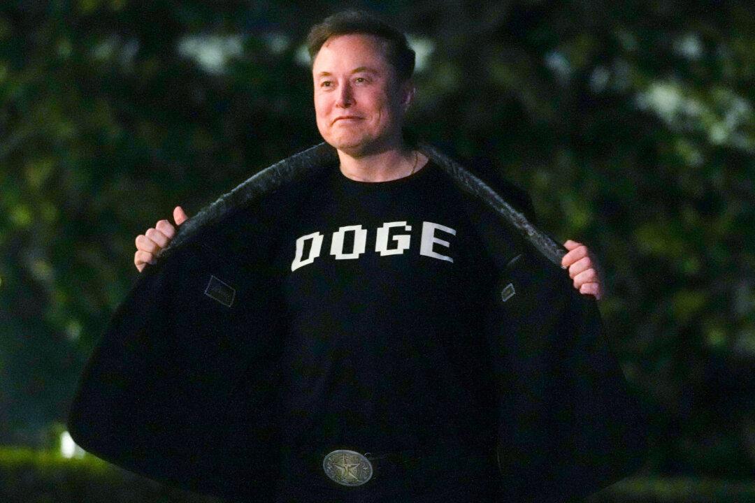 Elon Musk Sheds Light on DOGE Work in Media Interview