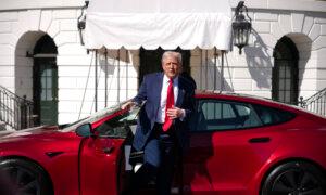 Trump Says People Vandalizing Tesla Dealerships Could Be Labeled Domestic Terrorists