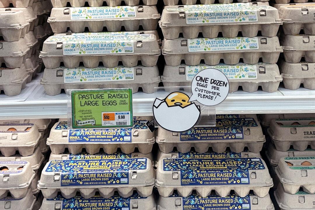 February Inflation: A Temporary Relief or the Start of a Lasting Trend?