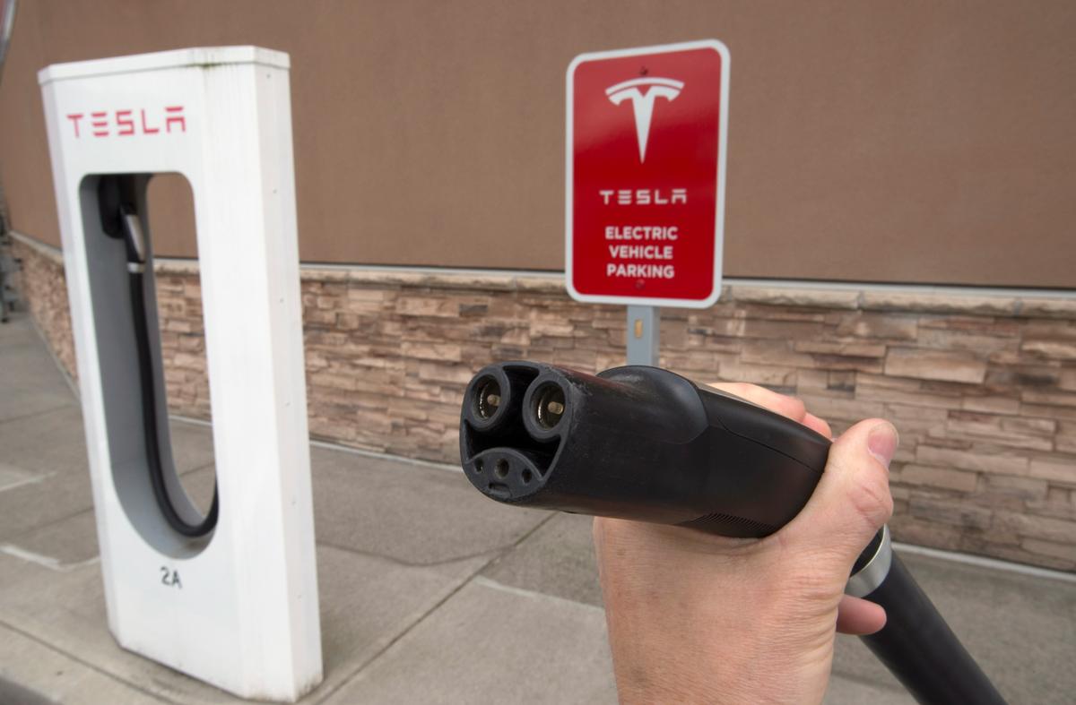 BC Hydro Bans Tesla From Charger Rebate Program as Part of Tariff Fight
