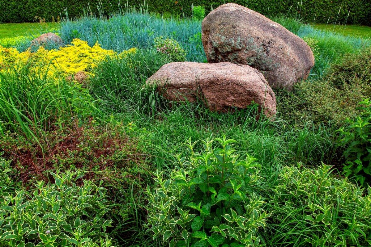 Carefully placed rocks, bricks, or timber can also be used to slow and redirect the water flow. (Bespaliy/Shutterstock)