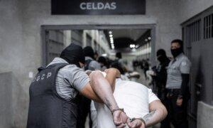 ICE Arrests 68 Tren de Aragua Gang Members