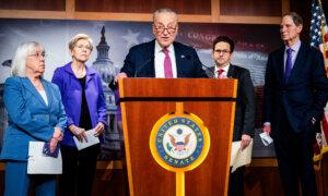 Democrats Wrestle With DOGE and Musk