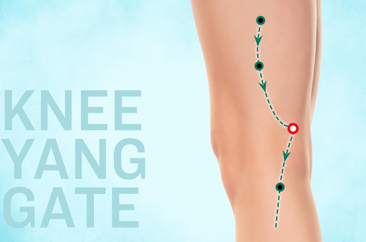Do You Need Another Acupoint for Your Knees? Short Answer: Yes