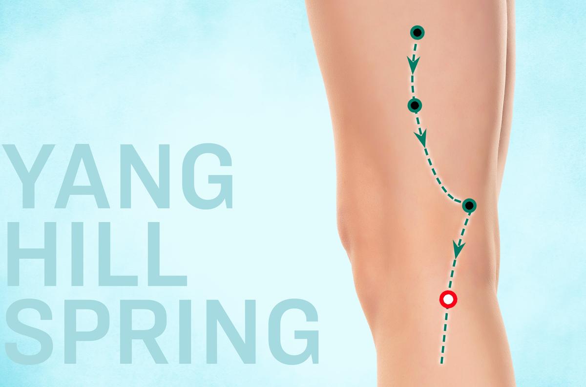 Yang Ling Quan: The Powerhouse Acupoint Your Tendons Crave