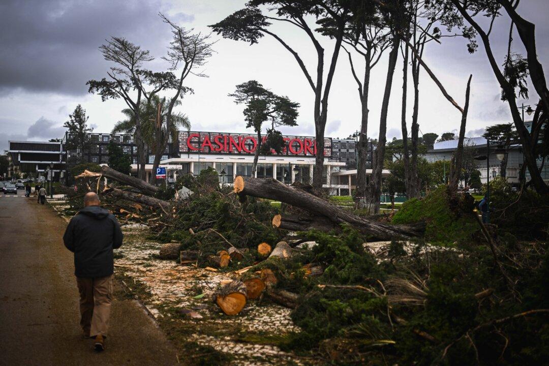 Day in Photos: Storm Martinho in Portugal, Suspension Bridge Collapses in Ecuador, and Basalt Columns in Ireland