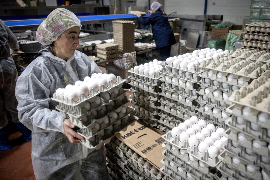 US Will Import Eggs From Turkey, South Korea: Agriculture Secretary