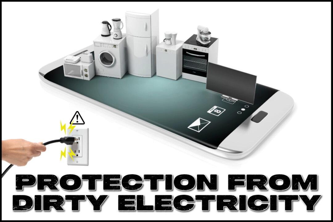Protection From Dirty Electricity