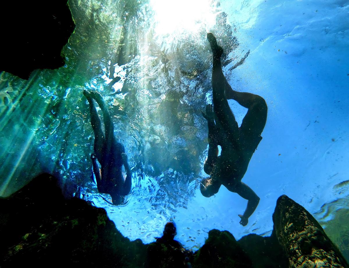 The St. Johns River: 30 Experiences to Explore the Scenic Florida Waterway