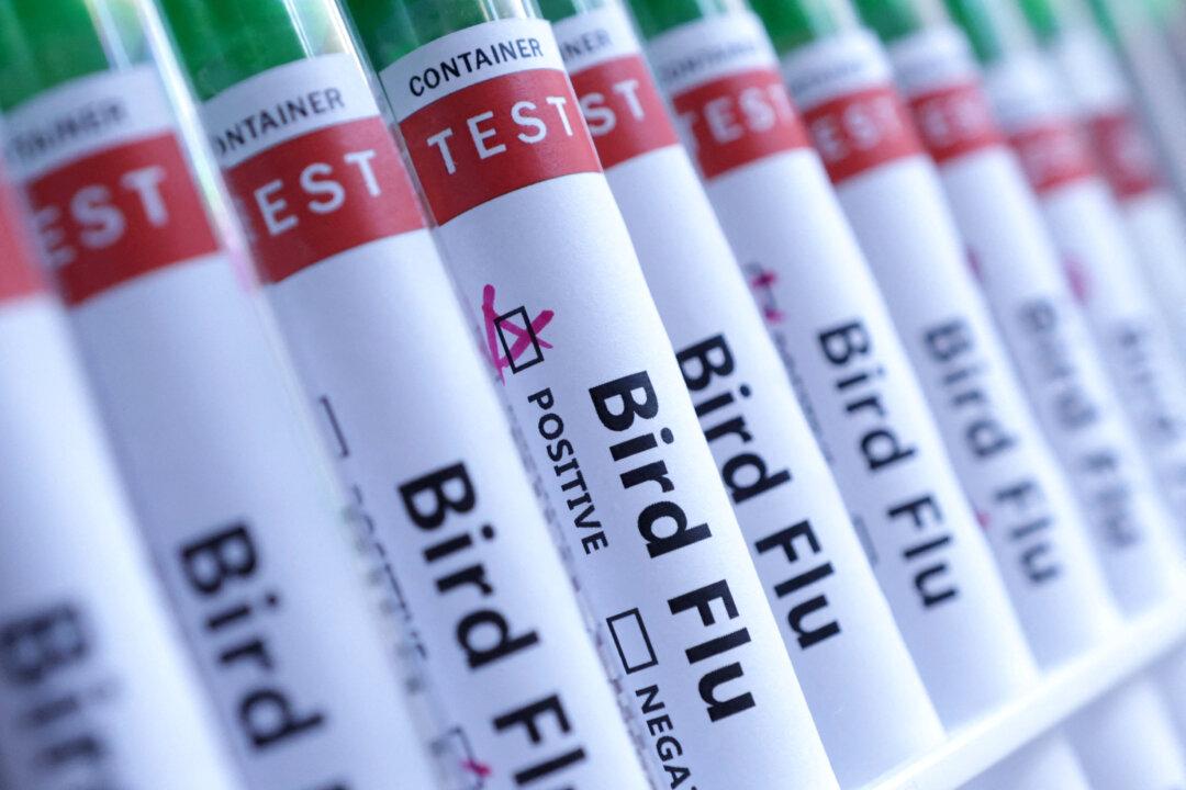 FDA Grants Fast-Track Designation for Possible mRNA Bird Flu Vaccine, Company Says