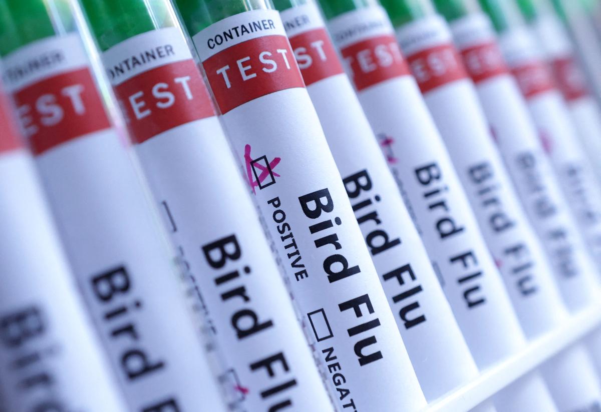 FDA Grants Fast-Track Designation for Possible mRNA Bird Flu Vaccine, Company Says
