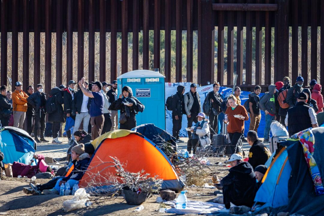 Illegal Immigrants on Terror Watchlist Received Medicaid, Unemployment Insurance: DOGE