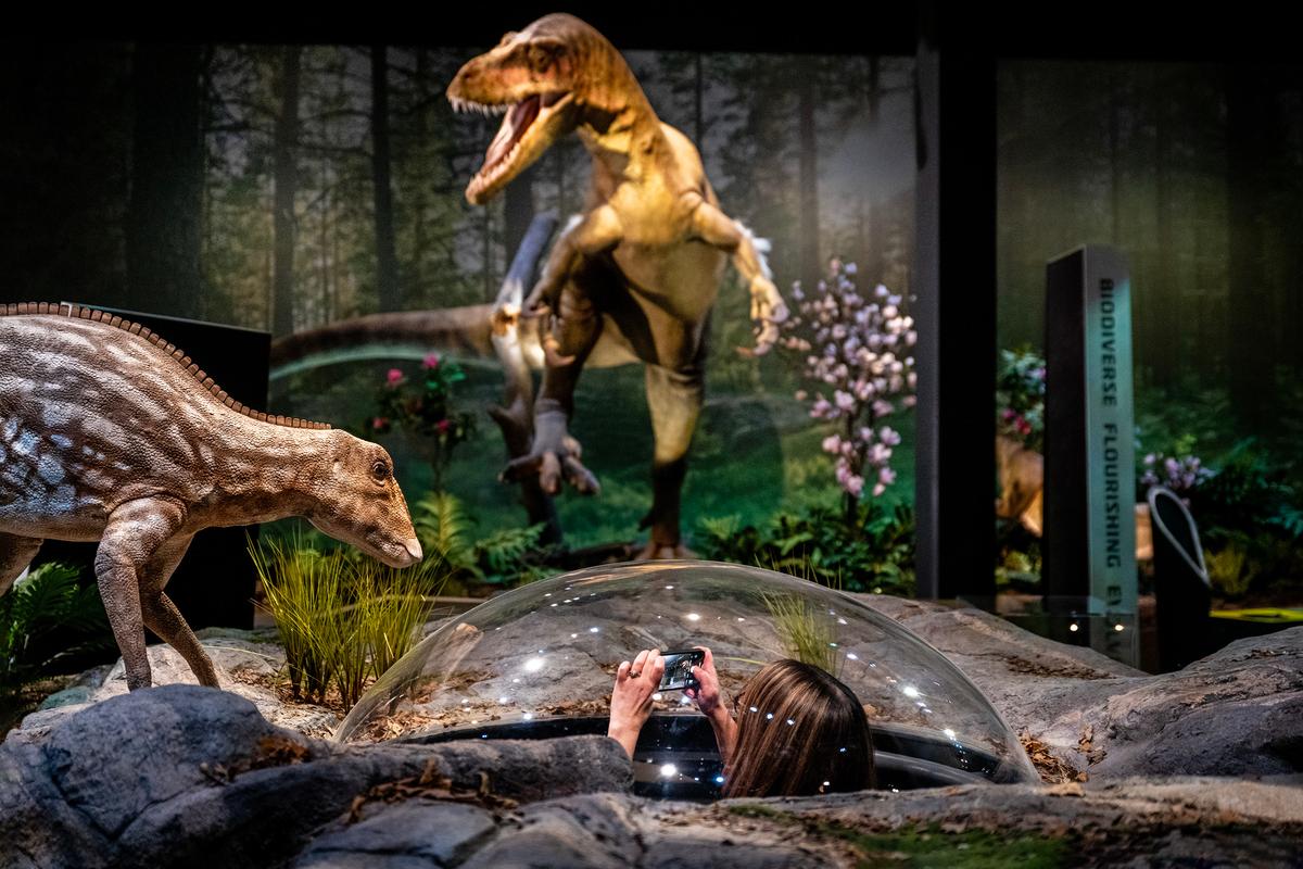 Edelman Fossil Park & Museum Springs to Life With Replicas, Fossil Quarry, and VR