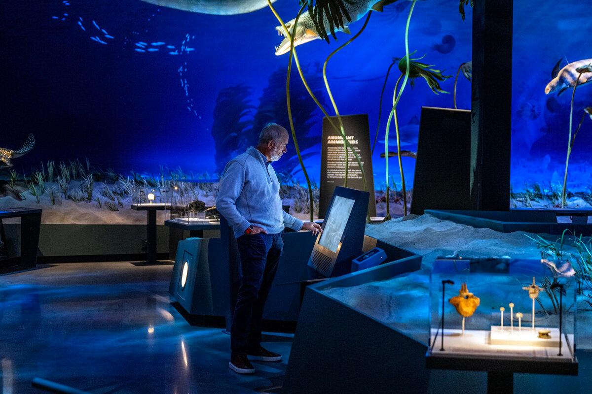 Ric Edelman views an interactive exhibit in the Monstrous Seas Gallery at the Edelman Fossil Park & Museum of Rowan University in Glassboro, New Jersey, during a media preview March 5, 2025, before the museum officially opens March 29. The section explores the depths of the Cretaceous ocean, when the park's property was underwater. Edelman, along with his wife, Jean, both Rowan alumni, donated $25 million to the facility. (Tom Gralish/The Philadelphia Inquirer/TNS)