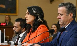 Signal App Is Pre-Installed on Government Devices, Gabbard Testifies