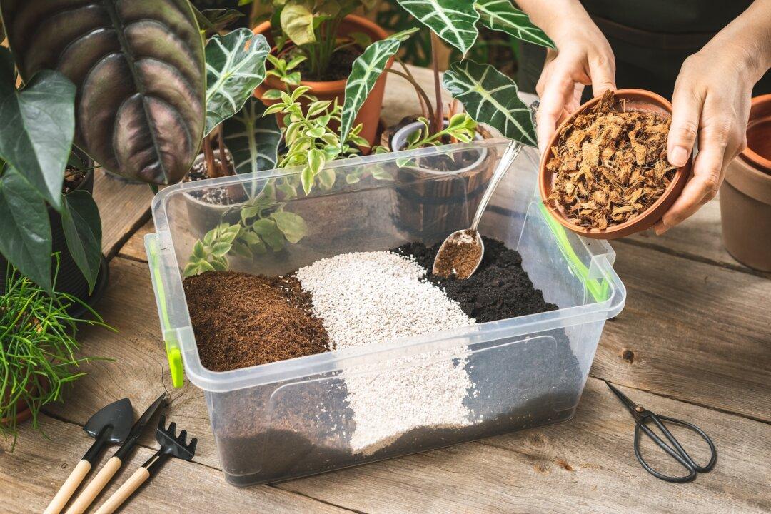 Potting Mix