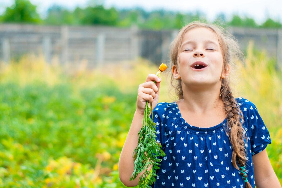 Learn as You Grow: What Every Beginner Gardener Should Know