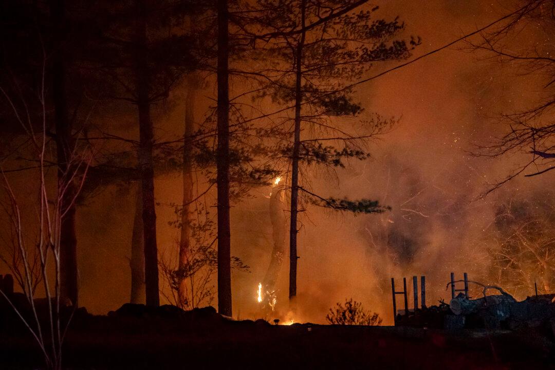 Firefighters Make Progress on Containing Some Carolina Wildfires, but Others Grow