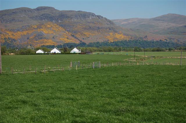 Samuel Taylor Coleridge’s ‘This Lime-Tree Bower My Prison’