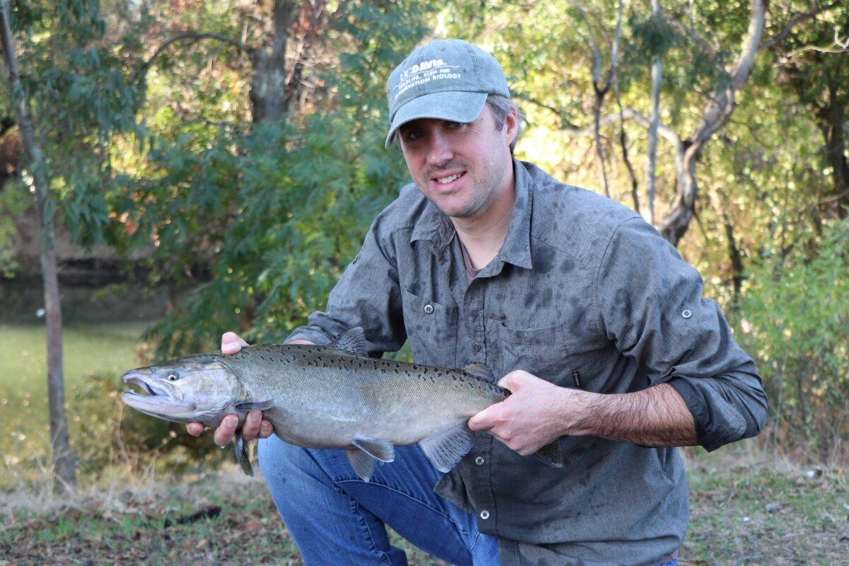 Professor Andrew Rippel of UC Davis has an adult Chinook salmon that traveled to Pata Creek in 2023 (David Ayers)