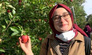 Federal Judge Blocks Deportation of Tufts University Student Detained by ICE