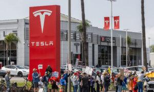 Nationwide âTesla Takedownâ Demonstrations Bring Out Protesters, Counter-Protesters