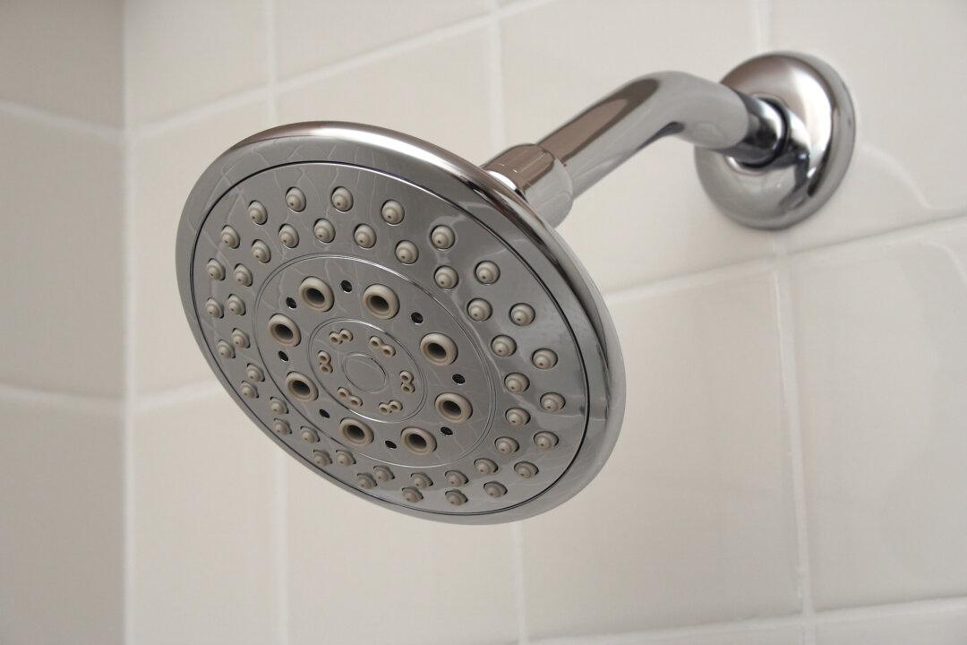 Replace a Showerhead