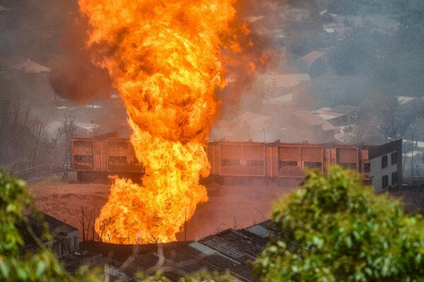 Day in Photos: Gas Pipeline Fire, Volcanic Eruption in Iceland, and Tulip Field in Italy