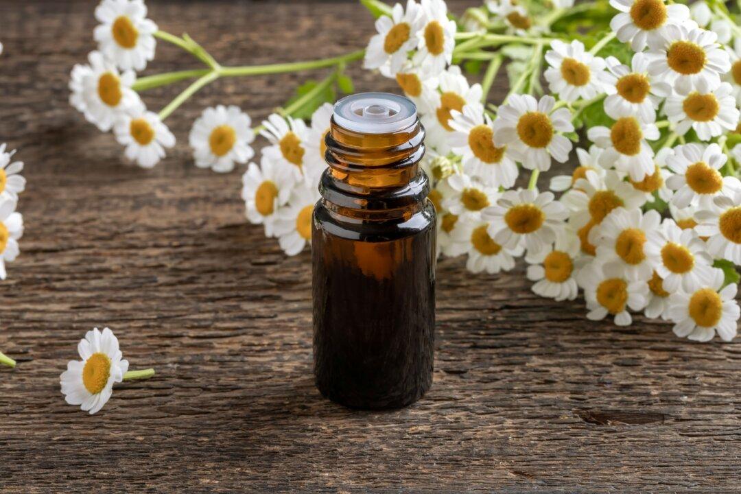 Is Feverfew the Petal-Powered Migraine Whisperer?