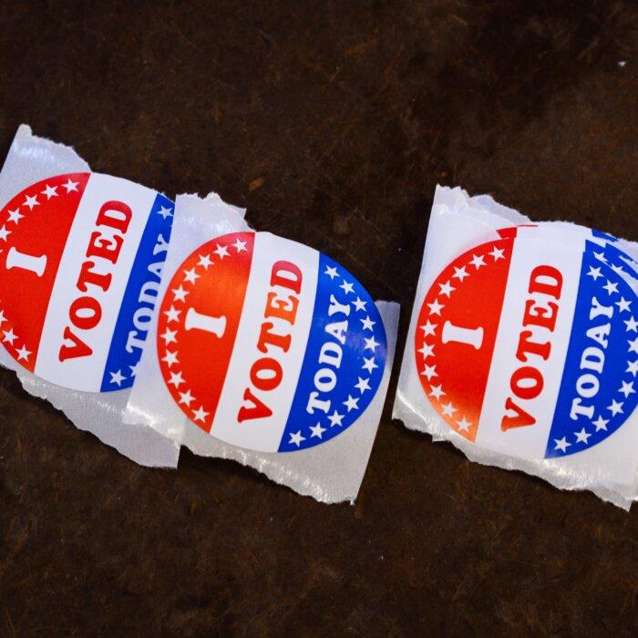 House Election Subcommittee Holds Hearing to Revisit 2024 Election With Secretaries of Some States