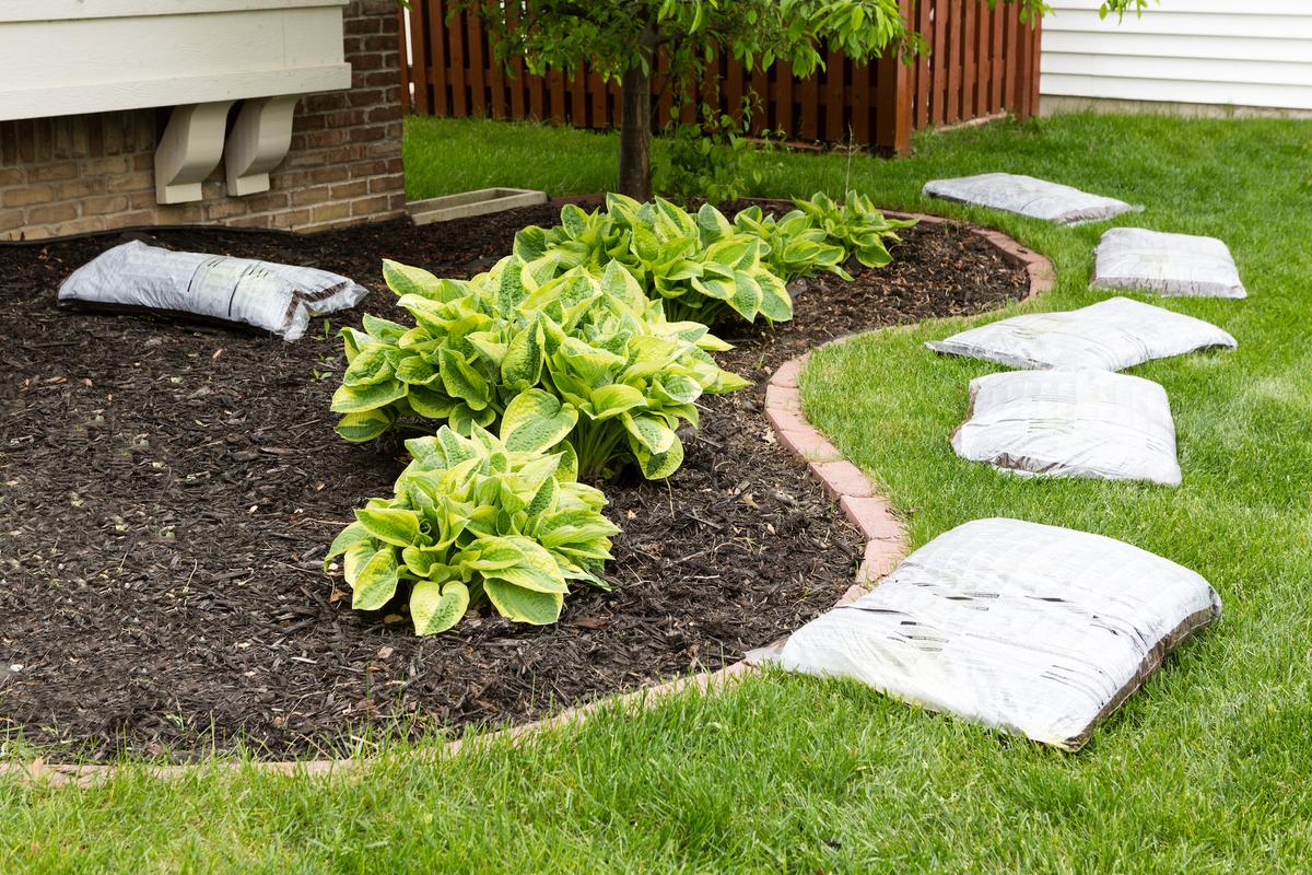 Ask Angi: How Can I Prepare My Yard for Spring?