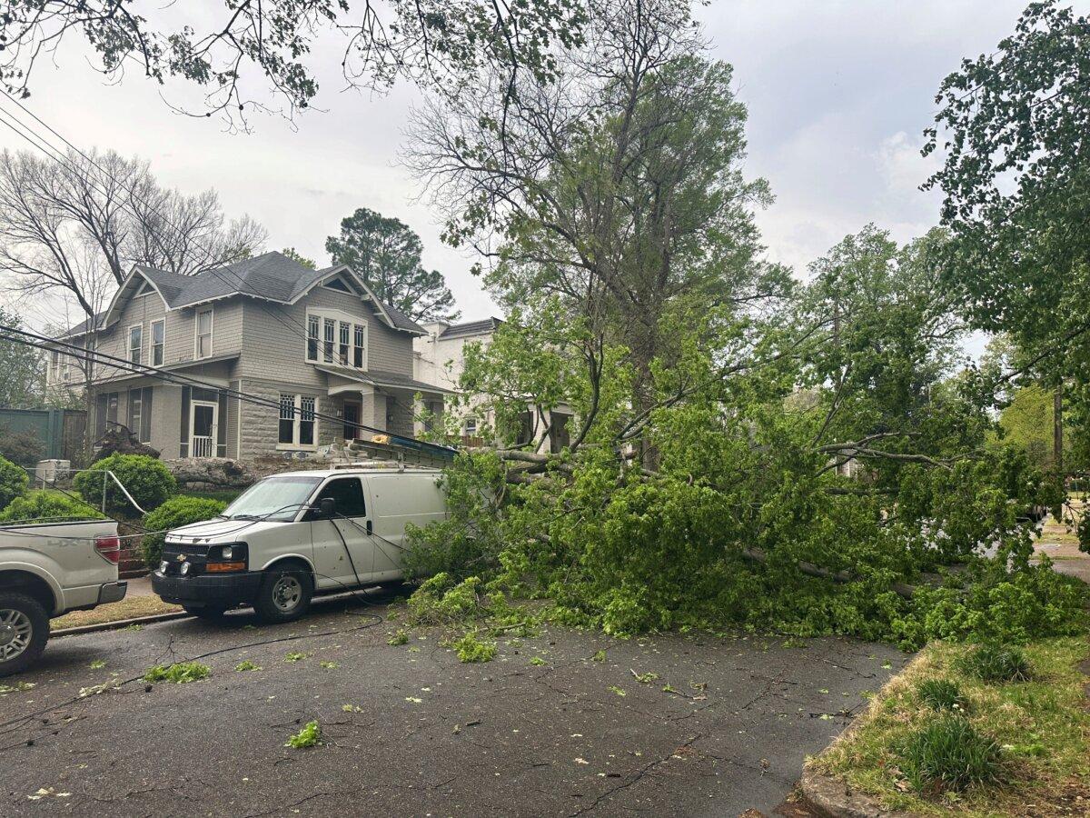 A fallen tree, which knocked down power lines, is blocking a neighborhood street during storms in Memphis, Tenn., on April 2, 2025. (Adrian Sainz/AP Photo)