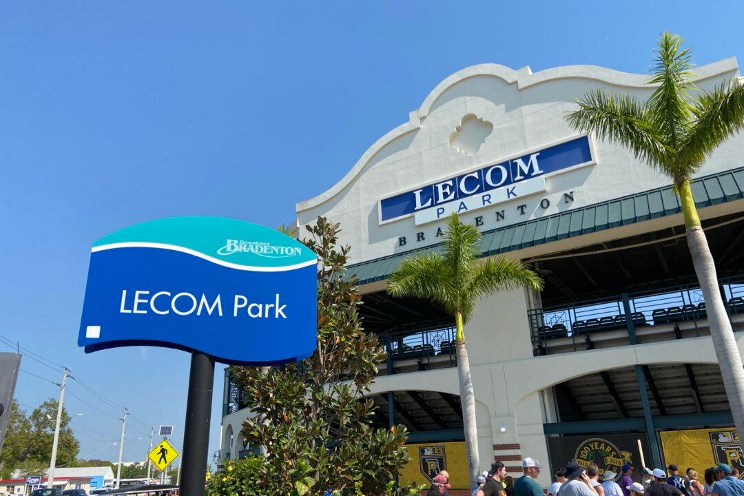 Baseball in the Bushes—Building Careers in the Minor Leagues