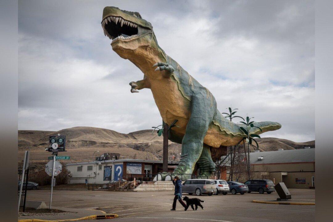 ‘Special to the World’: Supporters Hope to Save Beloved Drumheller Dinosaur