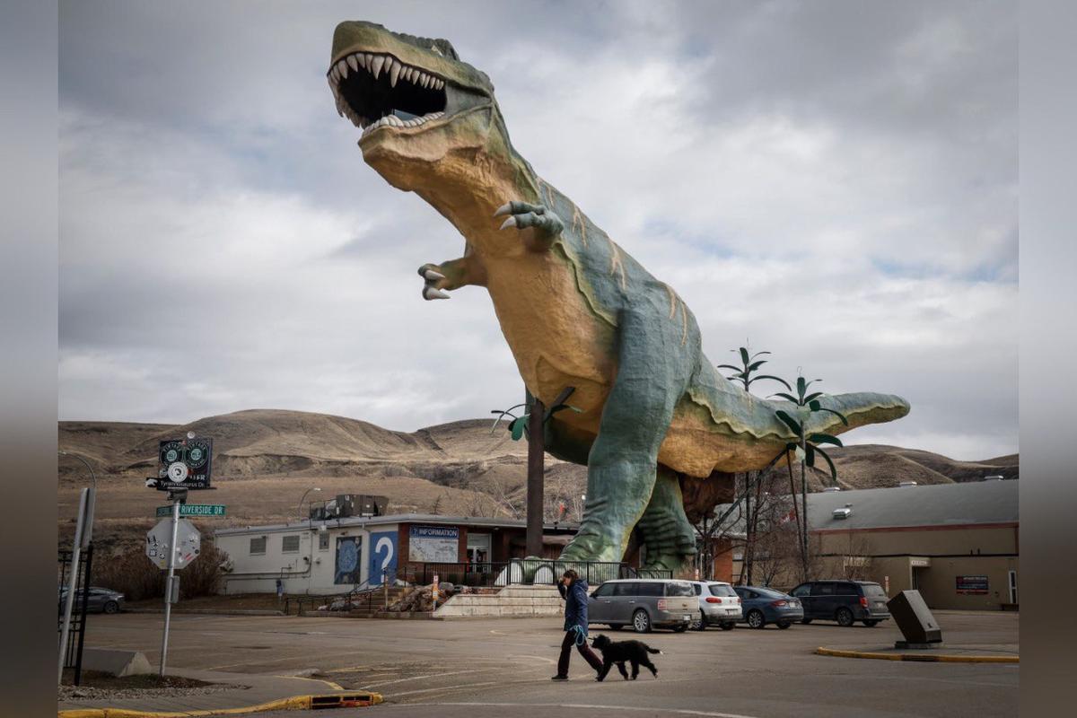 ‘Special to the World’: Supporters Hope to Save Beloved Drumheller Dinosaur