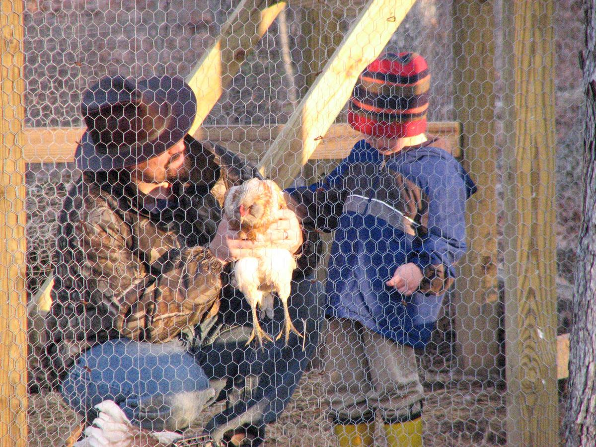 The common arts include tending to animals. (Courtesy of Chris Hall)