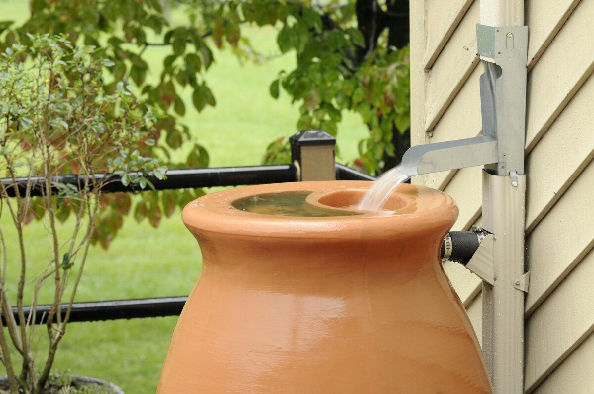 Gutters can be connected to downspouts and rain barrels to efficiently harvest rainwater. (JuneJ/Shutterstock)