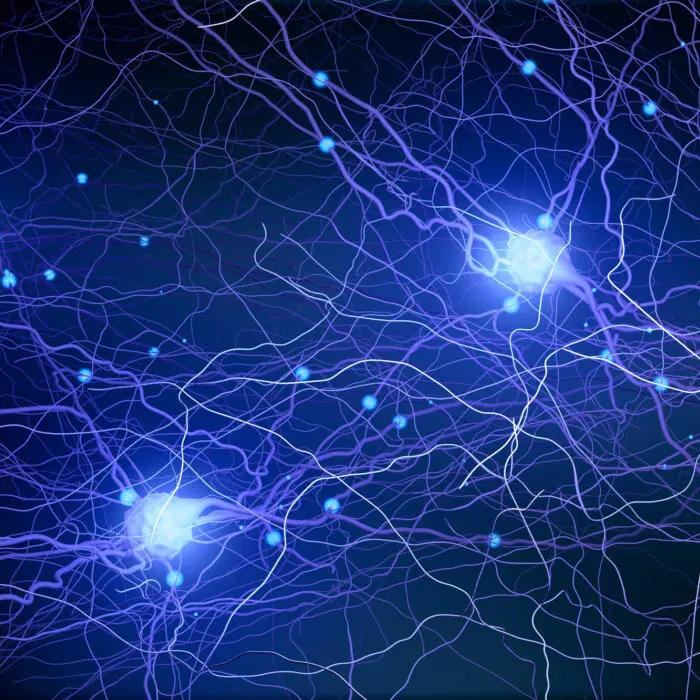 The Optimal Time to Prevent Age-Related Cognitive Decline, and How to Do It