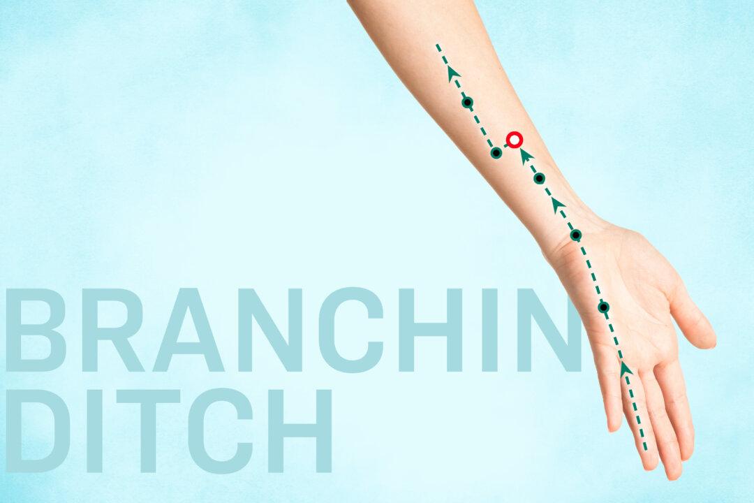 Zhi Gou: A Natural Way to Say Goodbye to Constipation