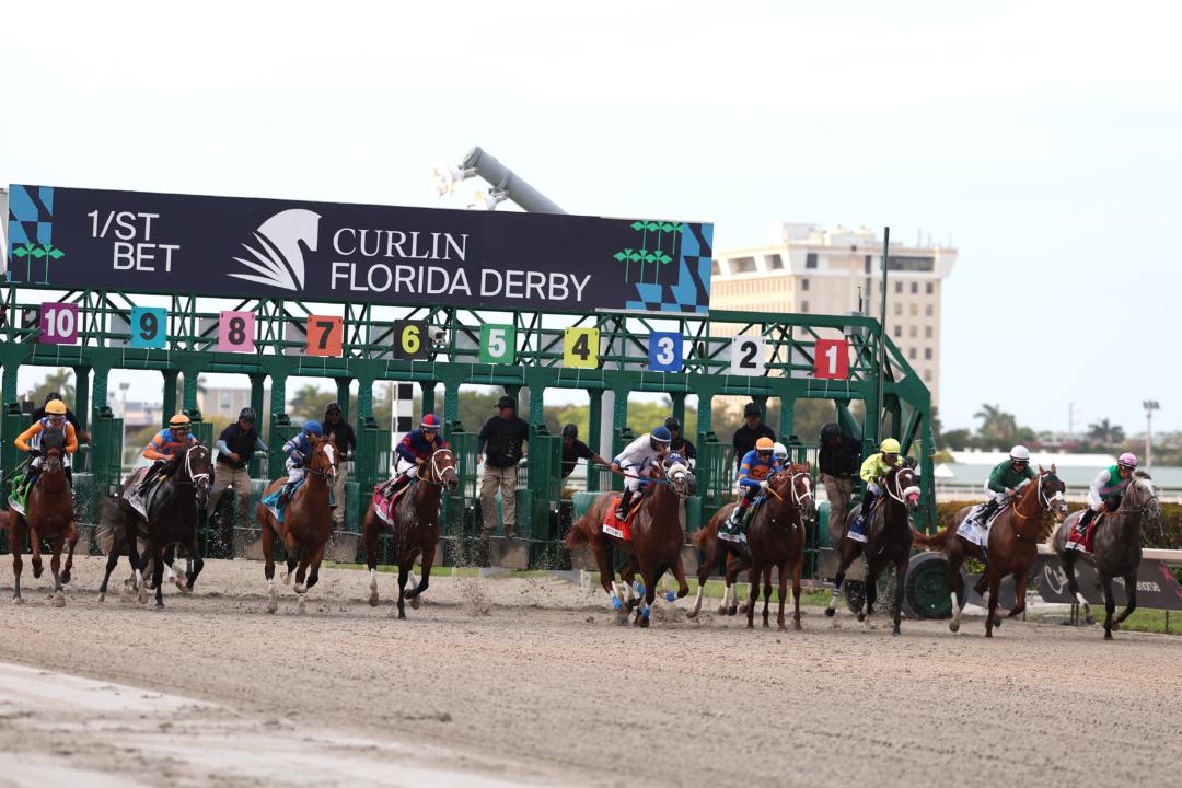 Florida’s Proposed Gambling Bill Will Strangle Horse-Racing Industry: Insiders