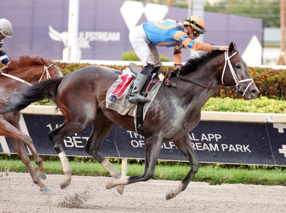 Forte, ridden by Irad Ortiz Jr., wins the Florida Derby at Gulfstream Park in Hallandale, Fla., on April 1, 2023. (Al Bello/Getty Images)