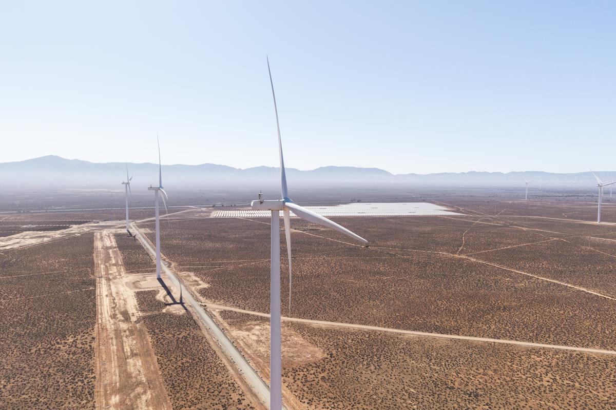 SA Liberal Party Defends Right to Debate Potential Axing of Net Zero Support