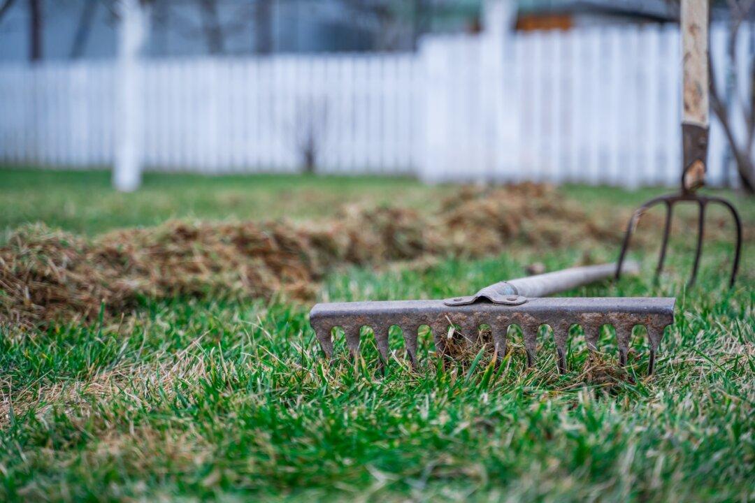 Spring Into Action: The DIY Home Checklist