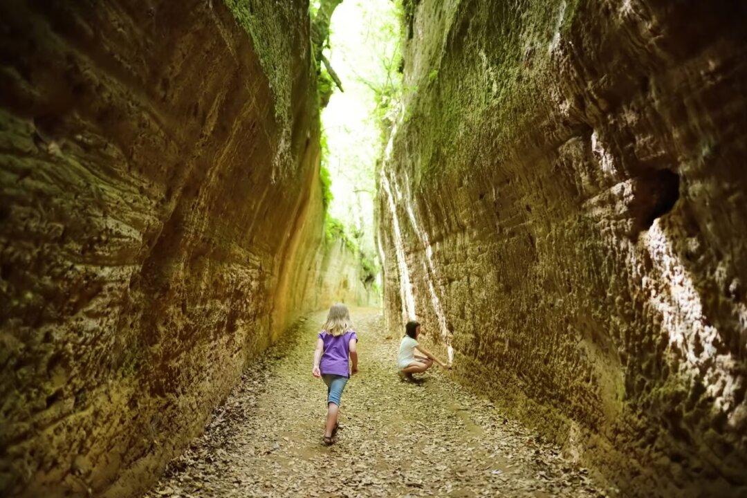 Generational Dialogue in the Age of Machines