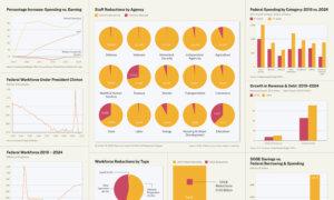 Nine Charts to Put DOGE Efforts in Perspective