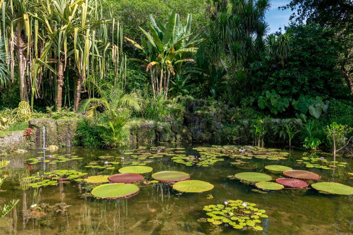 (Carlos Causo/Courtesy of Fairchild Tropical Botanic Garden)