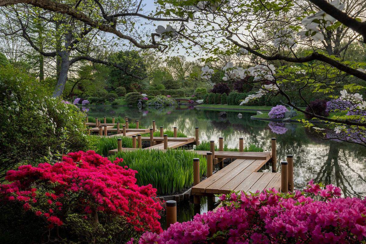 (Kent Burgess/Missouri Botanical Garden)